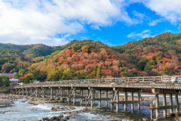 【和歌山県内発】 京の奥座敷・湯の花温泉渓山閣で食す松茸会席と嵯峨野トロッコ列車 日帰り3